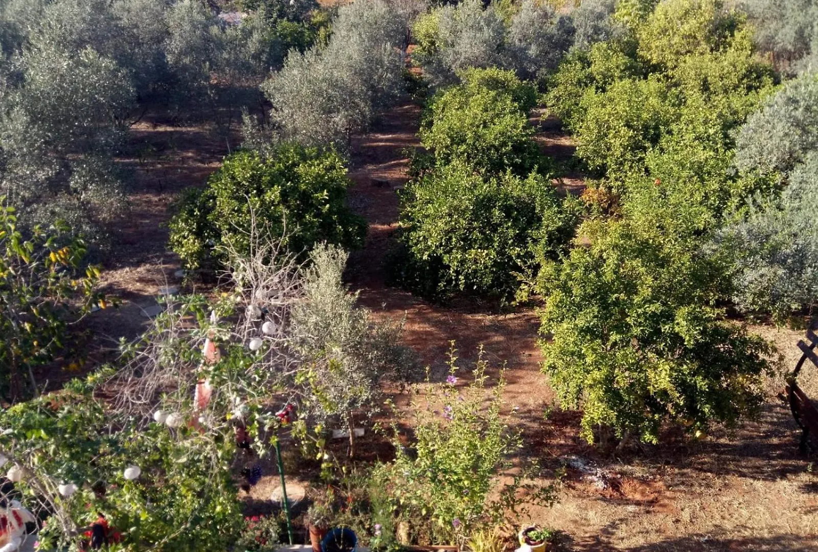 Semesterbostad Gizli Bir Cennet Villa Antalya
