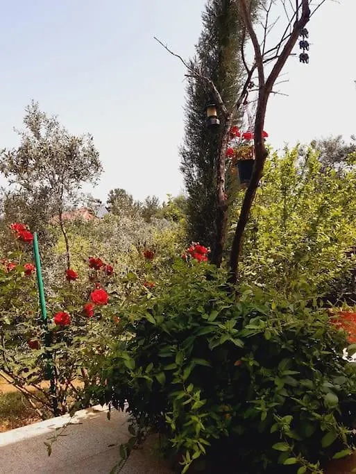 Gizli Bir Cennet Villa Antalya Semesterbostad
