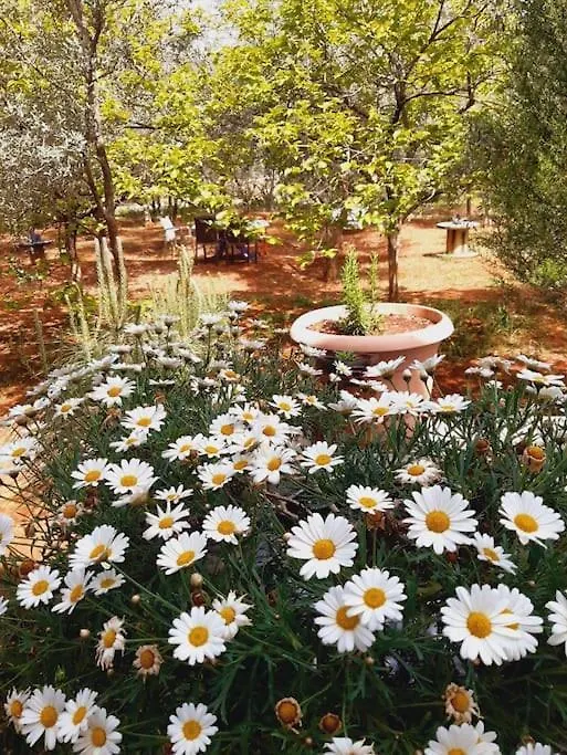 Gizli Bir Cennet Villa Antalya Semesterbostad