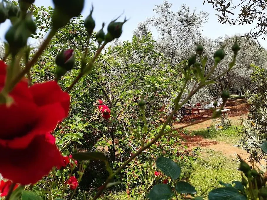 Gizli Bir Cennet Villa Antalya Semesterbostad