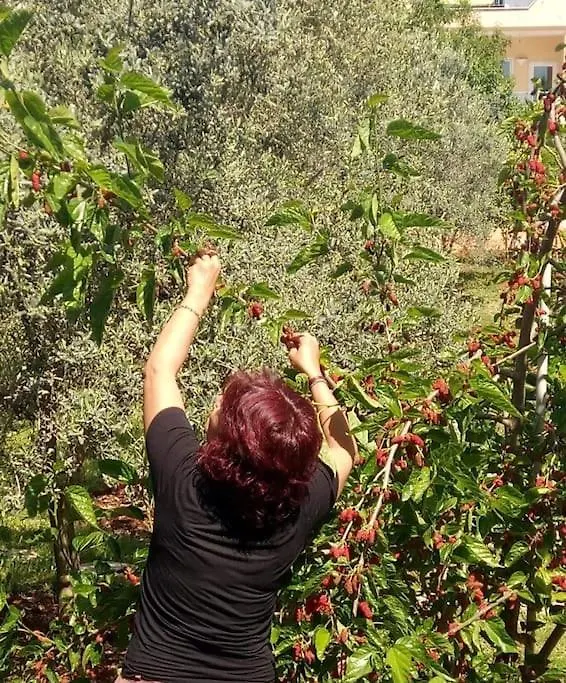 Semesterbostad Gizli Bir Cennet Villa Antalya