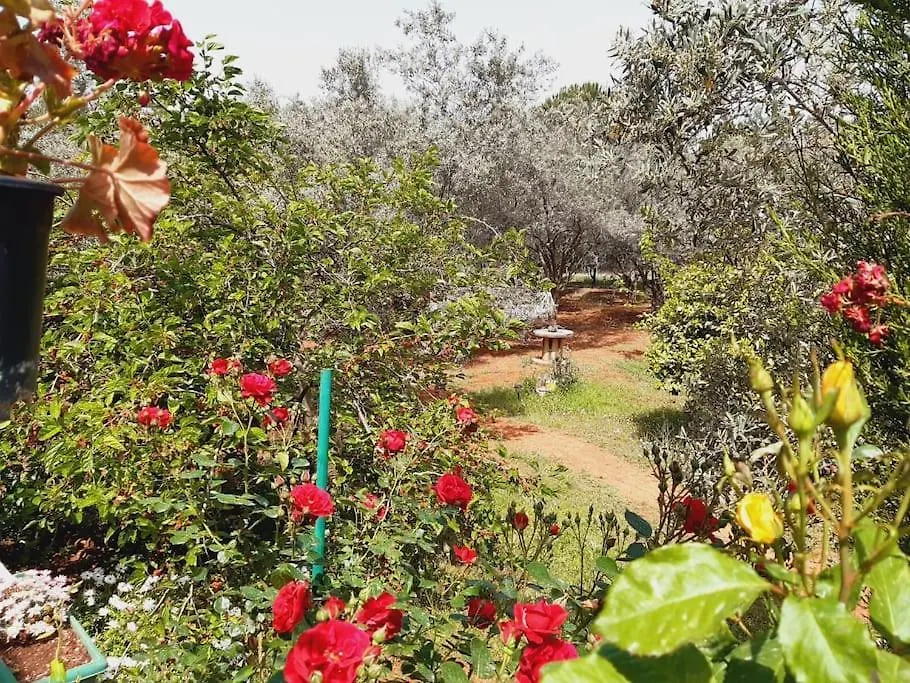 Semesterbostad Gizli Bir Cennet Villa Antalya