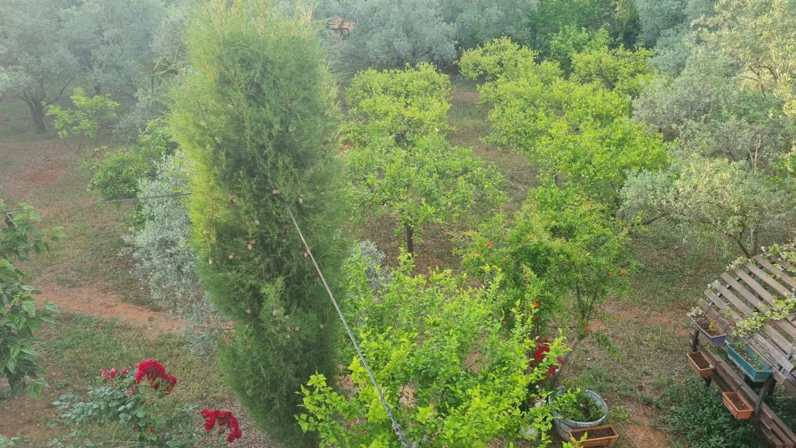 Willa Gizli Bir Cennet Antalya 0*,  Turcja